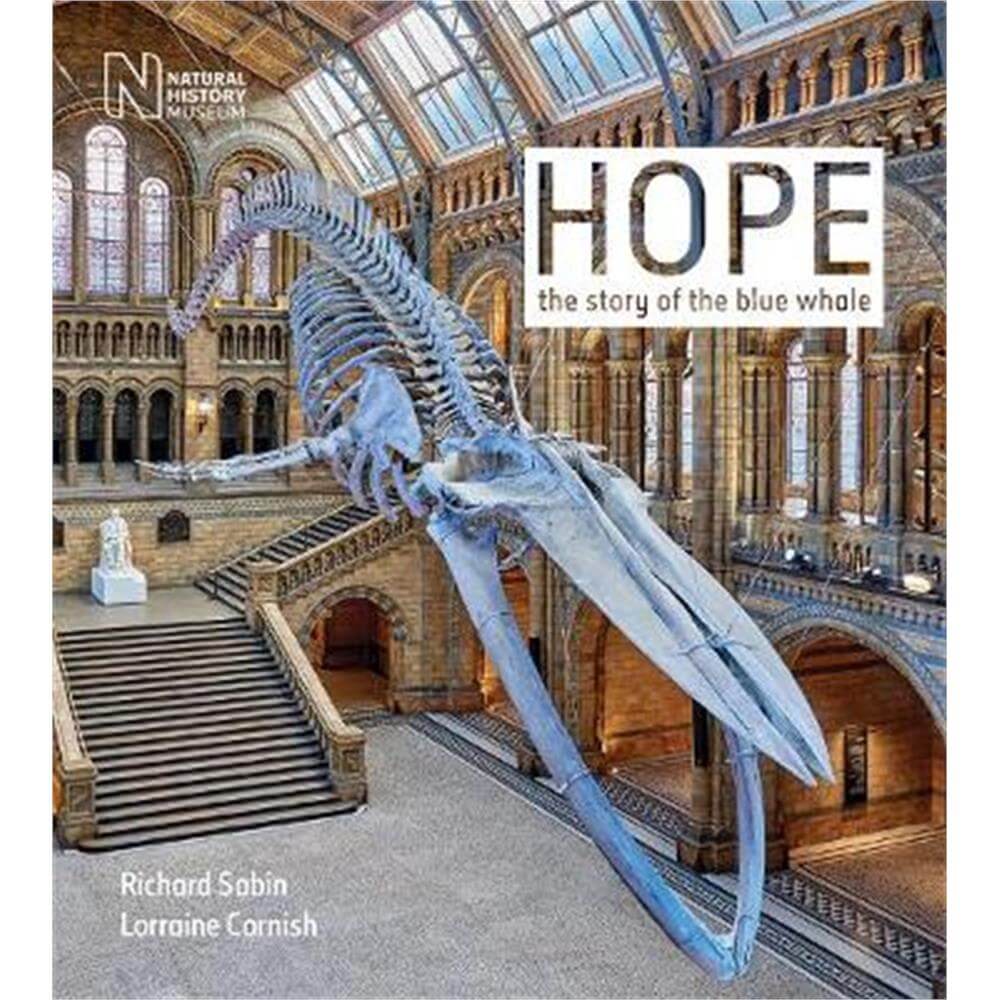 Hope (Paperback) - Richard Sabin